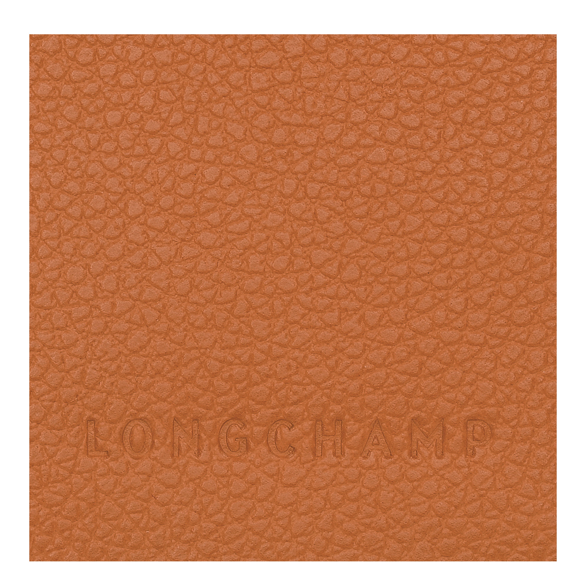 Le Foulonné Passport cover