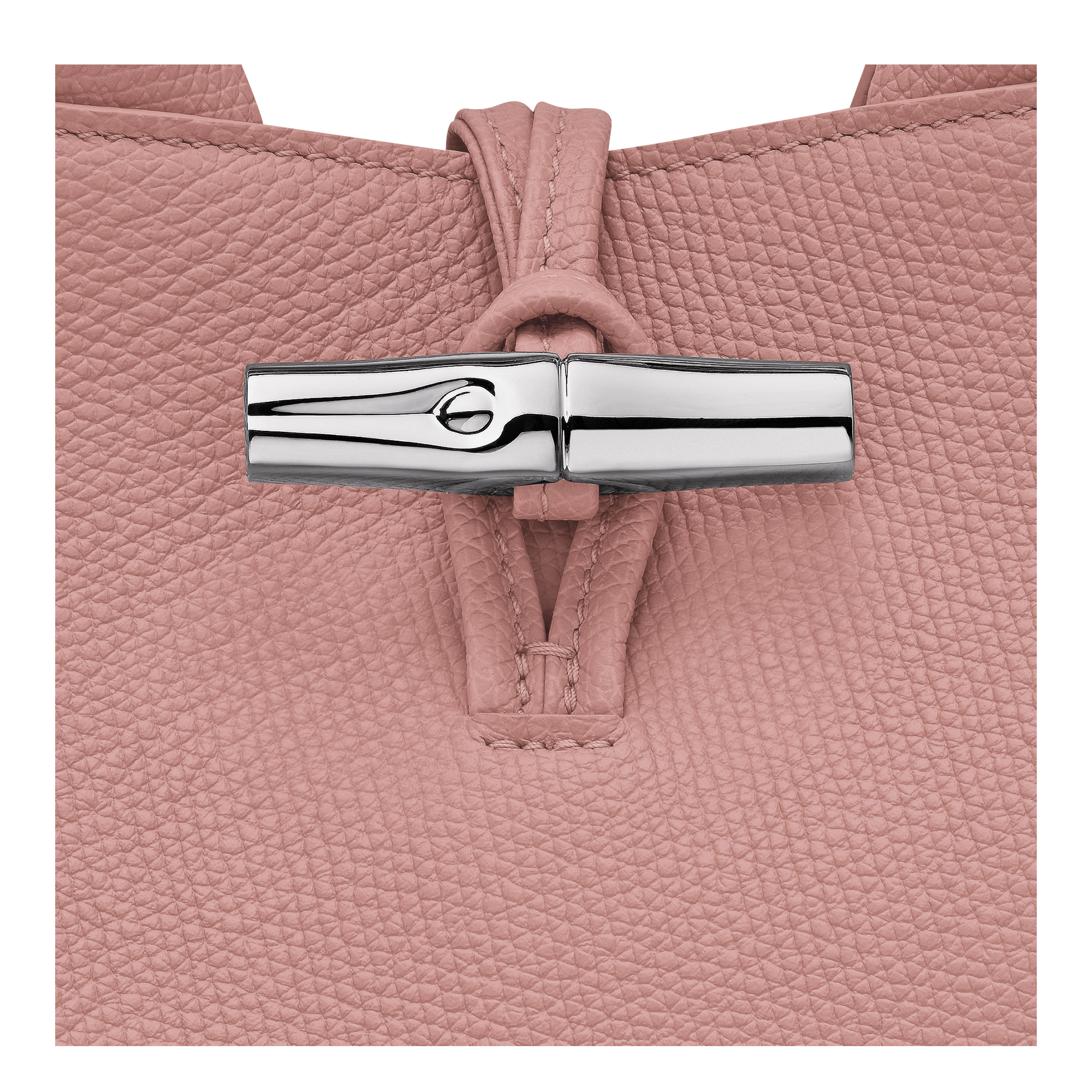 Le Roseau S Handbag